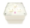 LED Uplighting Package