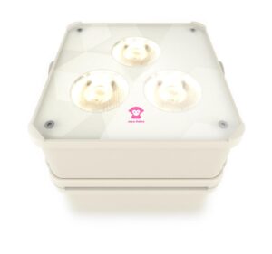 LED Wireless Uplighting