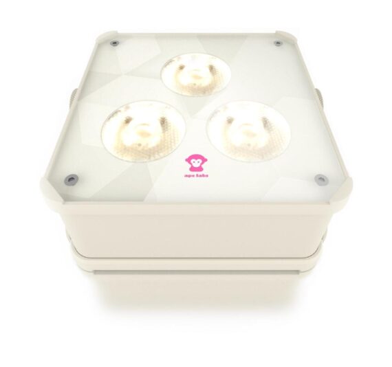 LED Uplighting Package