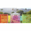 Coachella Ribbon Wall