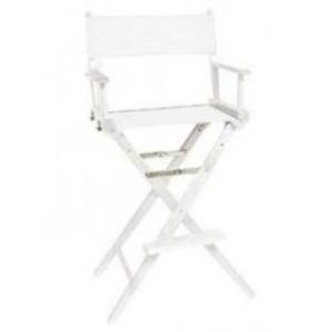 Director's Chair