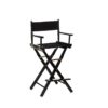 Director's Chair