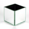 Square Mirror Vase