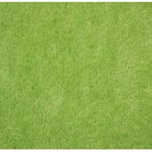 Accent Rug - Key Lime