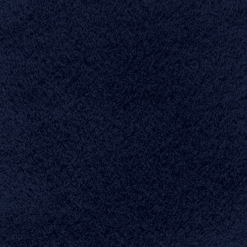 Accent Rug - Navy