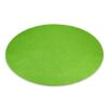 Accent Rug - Key Lime