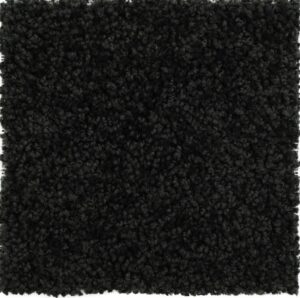 Accent Rug - Black