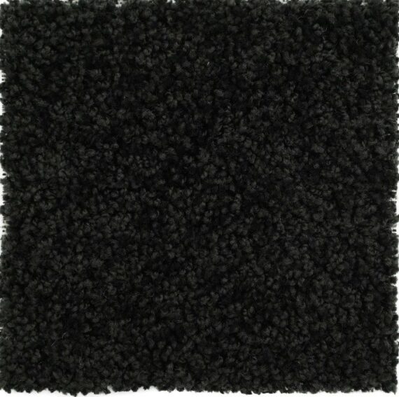 Accent Rug - Black