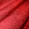 Red Drapery