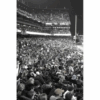 Vintage Baseball Trio Left Panel Backdrop (9' x 14')