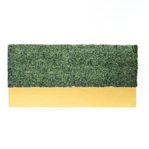 Half Wall Boxwood Hedge
