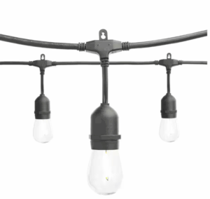 Bistro String Lights (Black Wire)