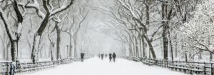 Winter NYC Central Park Backdrop #2 (40' x 14')