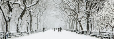Winter NYC Central Park Backdrop #2 (40' x 14')