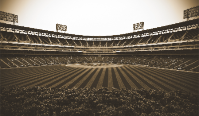 Vintage Baseball Stadium Backdrop (14.75' x 8.7')