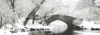 Winter NYC Central Park Backdrop #1 (40' x 14')