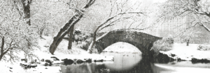 Winter NYC Central Park Backdrop #1 (40' x 14')