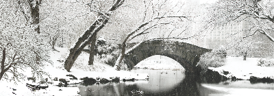 Winter NYC Central Park Backdrop #1 (40' x 14')