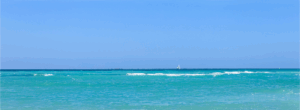Ocean Backdrop #1 (50' x 18')